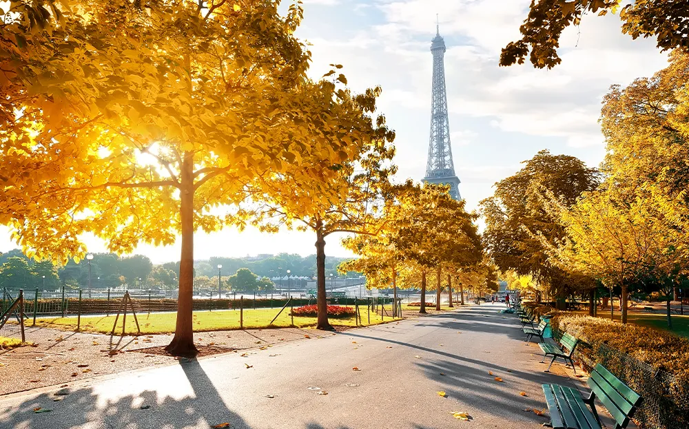 Autumn in Paris