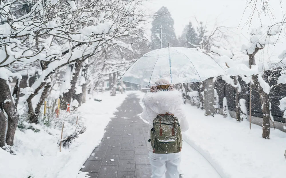 Winter in Tokyo (December to February)